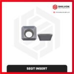 SEGT INSERT